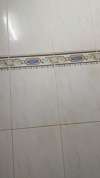 review 190 ảnh 1